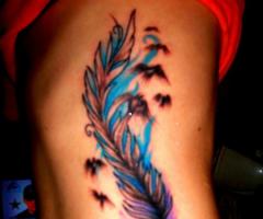 Color feather