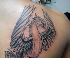 Phoenix tattoos for men and women