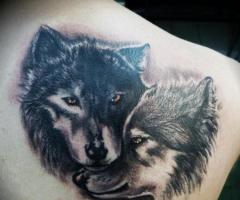 Pareja de lobos