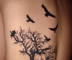 Tatuagem passaros