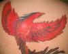 http://www.tattooset.com/images/tattoo/2012/07/18/6518-ave-fenix-naranja-tatuado_tiny.jpg