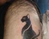 Tatuaje de gato