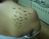 Tatuajes de pajaros en la espalda
