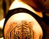 Tatuaje de Tigre en el hombro