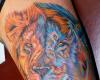 http://www.tattooset.com/images/tattoo/2012/07/18/6551-tremendo-tatuaje-realista-de-leon_tiny.jpg
