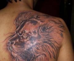 Tattoo de Leon en la espalda