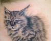 Tatuaje real de un gato