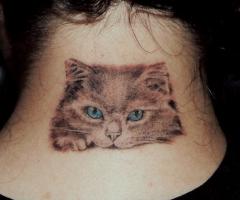 Little cat tattoo