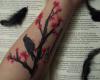 http://www.tattooset.com/images/tattoo/2012/07/18/6586-the-raven-quotes-tattoo_tiny.jpg