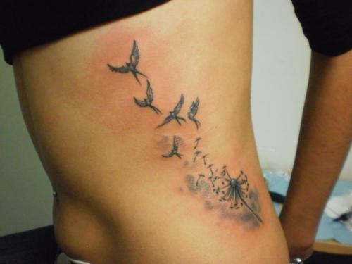 Birds and dandelion