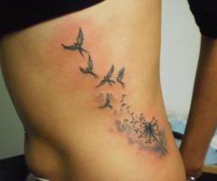 Birds and dandelion