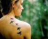 Birds on back