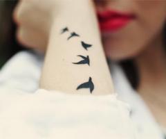birds on arm