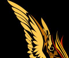 Phoenix Drawing and Sketch tattoo