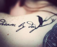 Dream by day