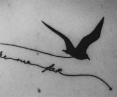 Take me far bird