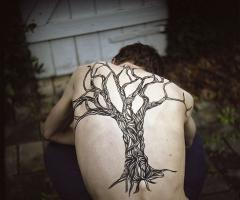 Gran arbol sin hojas