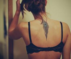 Pluma de pavo real