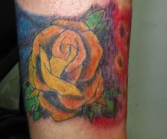 Erluto art Rosa amarilla