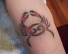 45 zodiac tattoo design gallery