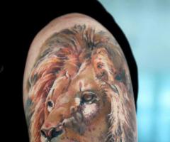 Realistic lion