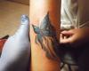 Mariposa azulada en el brazo