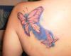Dos mariposas coloridas