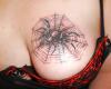 Araña sobre tela de araña