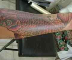 Comienzo de manga Koi fish