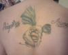 Amazona
