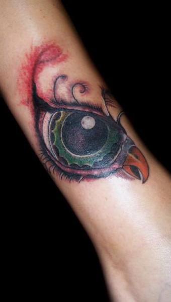 Ojo hecho ave