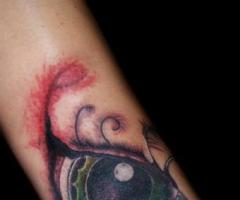 Ojo hecho ave