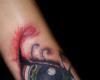 Ojo hecho ave