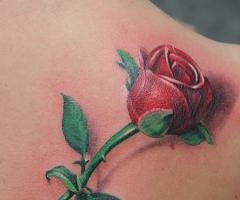 Realistic Rose Tattoo