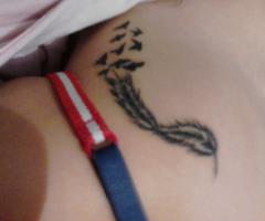Pluma y pajaros