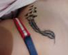 Pluma y pajaros