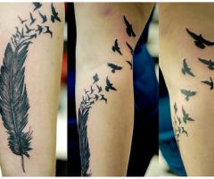 Pluma se deforma en miles de aves