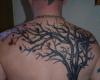 Tree back tattoo