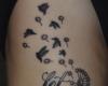Let it Be, dandelion and birds
