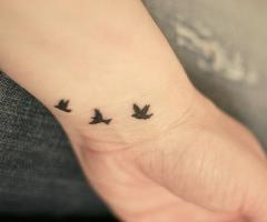 Aves tatuajes