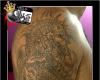Significado Tatuagens Dragão