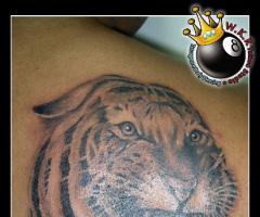 Tatuagem tigre