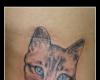 tatuagem gato