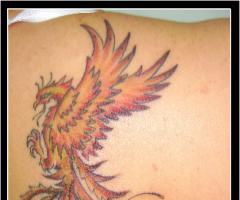 Phoenix tattoos for men and women