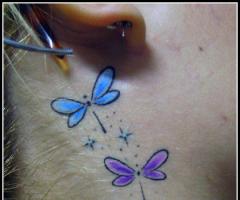 dragon fly