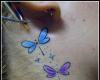 dragon fly