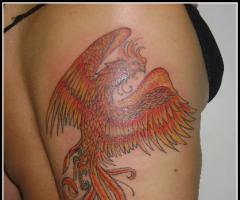 Tattoo fénix na costa