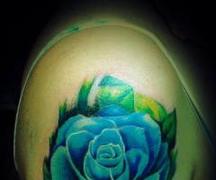 Rosa