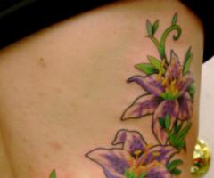 Violet flower on the rib