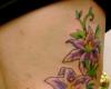 Violet flower on the rib